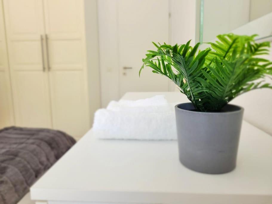 Apartment Palma - Central & Cozy With Free Private Parking Lugano Kültér fotó